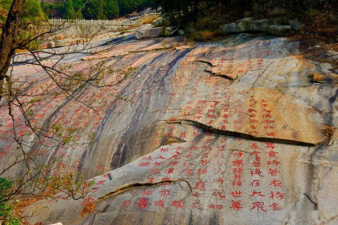 宝可梦探险寻宝